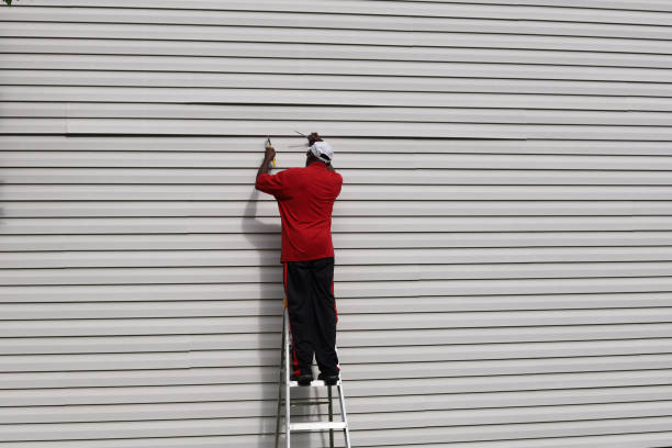Best Steel Siding Installation  in Coronado, CA